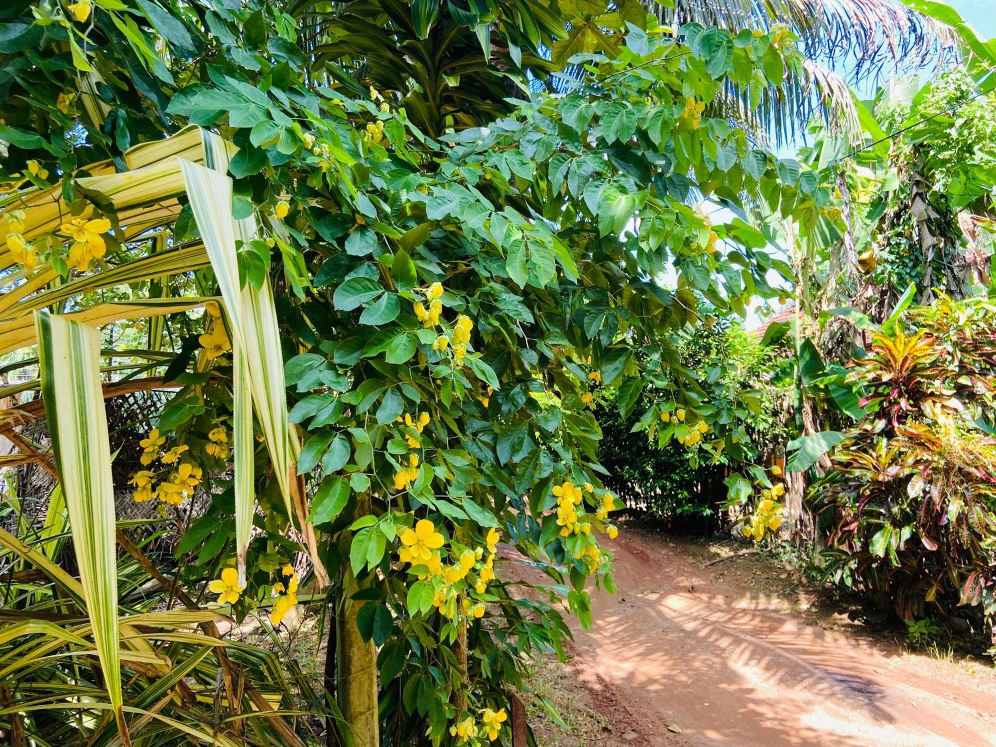 Leo Homestay Dickwella Exterior photo