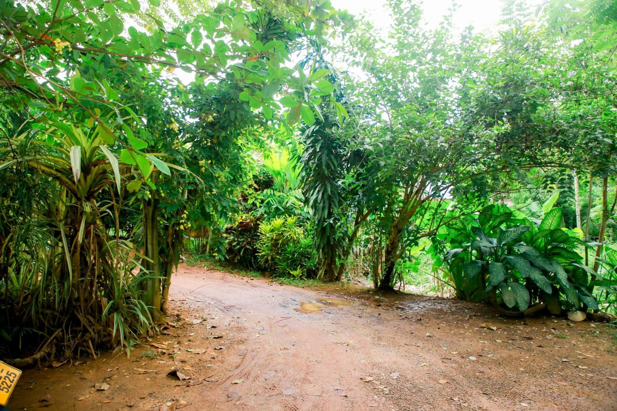 Leo Homestay Dickwella Exterior photo
